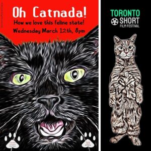 "Oh Catnada!" will be screened at the Toronto Short Film Festival on Wednesday March 12th, kicking off the "Shorts 2" program at 8pm! Tickets are available here: https://paradiseonbloor.com/purchase/107858/ 