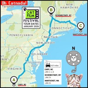 The New York Cat Film Festival tour begins next month, and several January 2026 tour dates have been set!