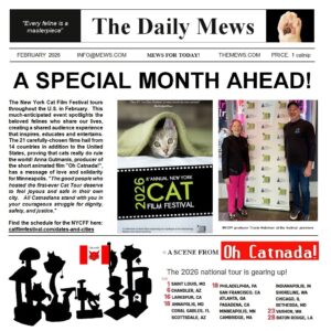 "Oh Catnada!"  is touring extensively in February with the New York Cat Film Festival!  Anna sends special love to host city Minneapolis. 