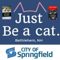 Anna has catified the logos of the cities hosting the New York Cat Film Festival and "Oh Catnada!" in June! Click to see the actual city logos for Bethlehem NH and Springfield MO.