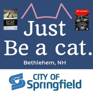 Anna has catified the logos of the cities hosting the New York Cat Film Festival and "Oh Catnada!" in June